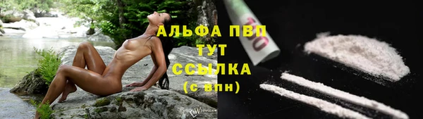 COCAINE Бородино