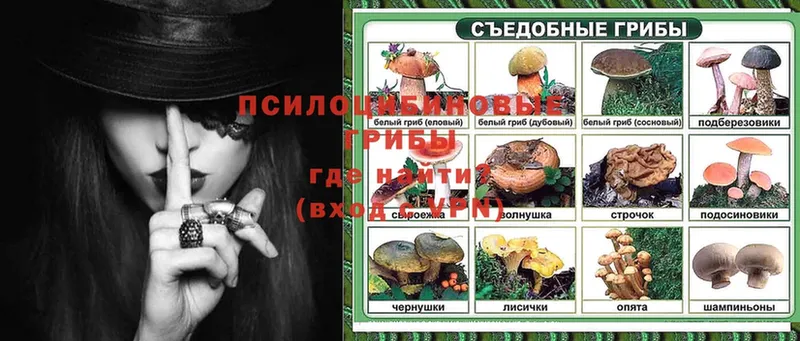 Галлюциногенные грибы Cubensis Грайворон